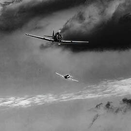 SNJ-4 BW by Flees Photos