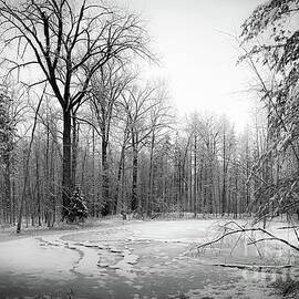 Snow Crusted Pond by Duluth To Door County Photography