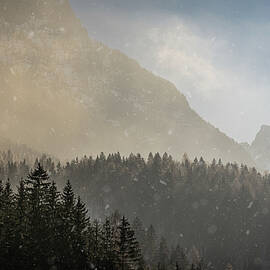 Snow Flakes in Golden Light by Charnwood Photography Fine Art