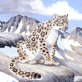 Snow Leopard Sitting On Rock by Chuck Ripper