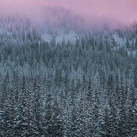 Snowfall and Sunset, Big Cottonwood Canyon, Utah by Abbie Matthews