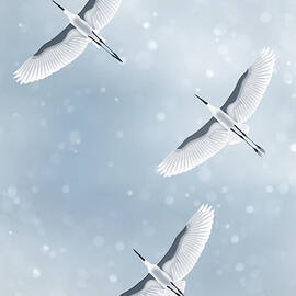 Snowfall by Moira Risen