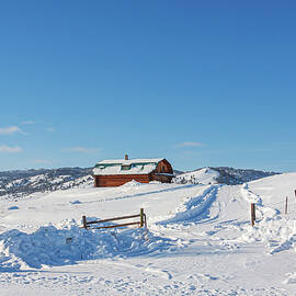 Snowy Cabin in Winter Landscape by Tatiana Travelways