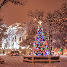 Snowy Christmas Tree by Matt Halvorson