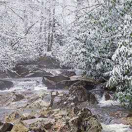 Snowy Creek by Stacy Abbott