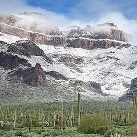 Snowy Desert. by Paul Martin