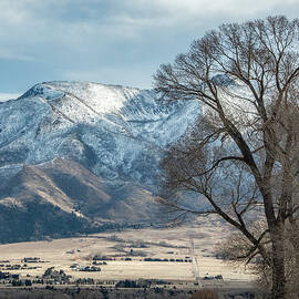 Snowy Mountain Overlooking a Dirt Road by Marcy Wielfaert