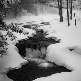 Snowy River by Dodie Ross