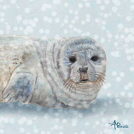 Snowy Seal by Angeles M Pomata