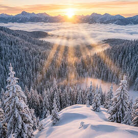 Snowy Sunrise Over Mountain Forest by The Luxury Art Collection