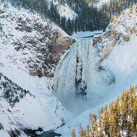 Snowy Yellowstone Falls in Winter by Marcy Wielfaert