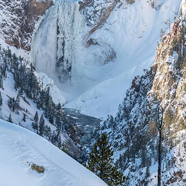 Snowy Yellowstone Falls by Marcy Wielfaert
