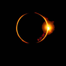 Solar Eclipse 2017 by Flippin Sweet Gear