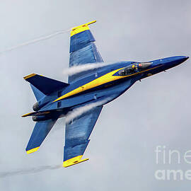 Solo Blue Angel by Jeff Saunders