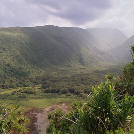 Somewhere in Hawaii - Kodak Film by Mary Lee Dereske