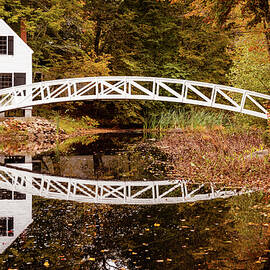 Bridge Reflection
