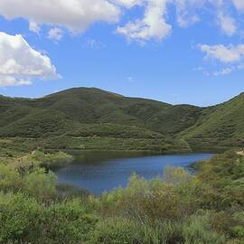 South Lake by Alison Frank