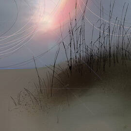 Southern Exposure by Gina Harrison