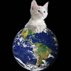 Space Kitten Ruler of Earth Funny by Flippin Sweet Gear
