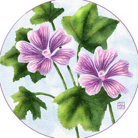 Spanish Mallow Flowers by Snow Iris Studio