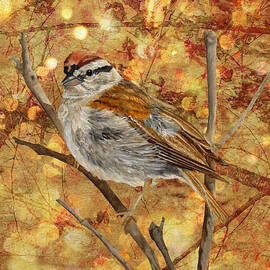 Sparkles In The Bower by Angeles M Pomata