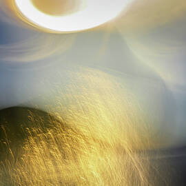 Sparkly Evening by Ursula Abresch