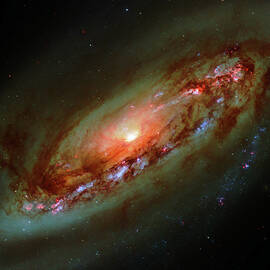 Spiral Galaxy in Vibrant Colors by Stefano Senise