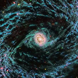 Spiral Galaxy NGC 1433 by Dale Kauzlaric