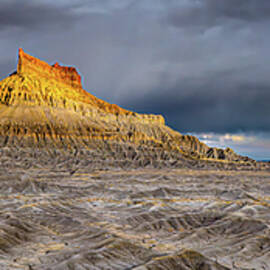 Spotlight in the Storm 2024 Epson Paon Bronze by Richard DeYoung