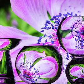 Spring Celebration by Elvira Peretsman