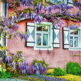 Spring in Germany by Tatiana Travelways