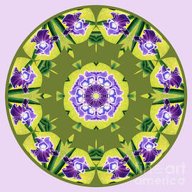 Spring Iris Evolved by Sarah Irland