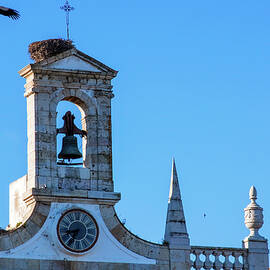 Spring messenger in Faro, Portugal by Tatiana Travelways