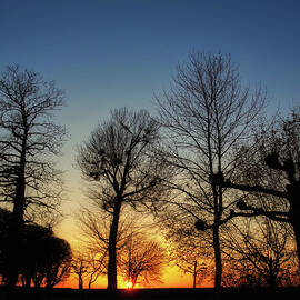 Spring sunset by Lake Constance, Germany by Tatiana Travelways