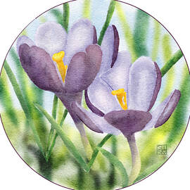 Springtime Crocus Flowers by Snow Iris Studio