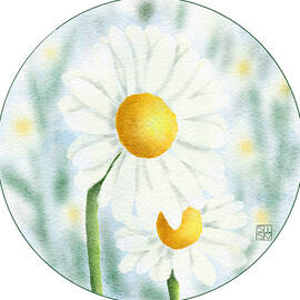 Springtime Daisies by Snow Iris Studio