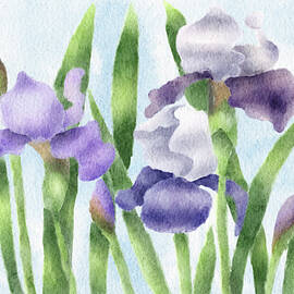 Springtime Irises by Snow Iris Studio