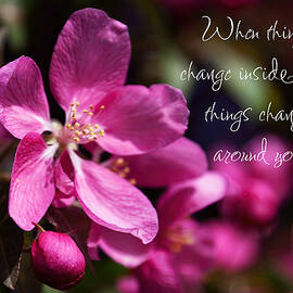 Springtime Pink Blossoms - Inspirational by Tatiana Travelways