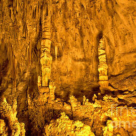 Stalactites At Carlsbad Caverns  by Adam Jewell