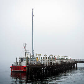 Standing By in the Fog by Joe Schofield