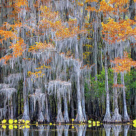 Standing Tall by Richard DeYoung