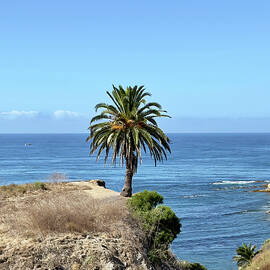 Standing Up by Joe Schofield
