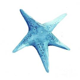 Starfish by Lucia Stewart