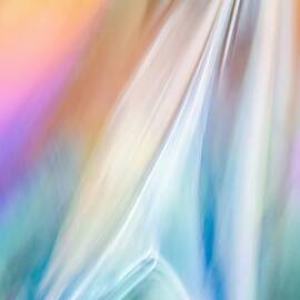 Starforce by Ursula Abresch