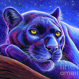 Stargazing - Colorful Black Leopard by Rebecca Wang