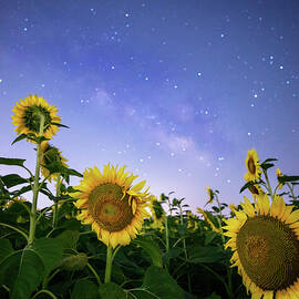 Starlight Glimmer  by KC Hulsman