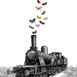 steam locomotive by Madame Memento
