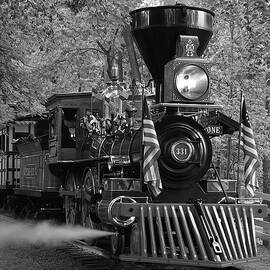 Steaming Ahead by Richard Reeve