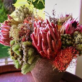 Stellenbosch Bloom by Travel Essayist