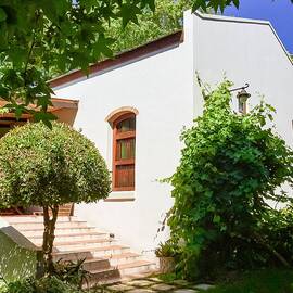 Stellenbosch Garden Glow by Travel Essayist